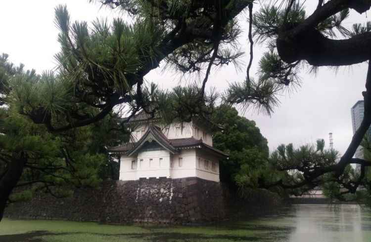 Uma cultura milenar e a capacidade de unir a tradição ao que há de mais tecnológico no  planeta. Esse é um resumo do Japão, além da impressionante beleza