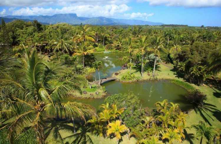 Viajar é uma das formas divertidas de aprender. Seja sobre a cultura do local, seja em visitas a museus e pontos turísticos e belezas naturais, que ganham formatos em jardins e encantam turistas