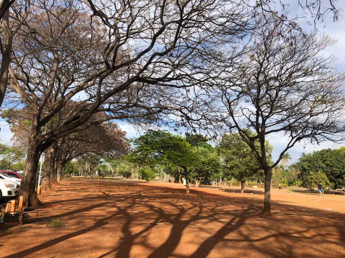 Céu aberto e dias quentes marcam semana do brasiliense