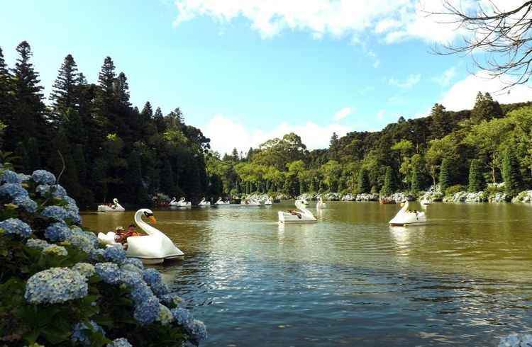 Parece cedo para falar de festas de fim de ano, mas, se você pretende viajar, sozinho ou com a família, para lugares tradicionais, é bom se preparar. Em Gramado e Canela, a festa começa em outubro