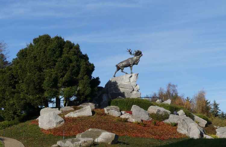 Newfoundland Memorial Park preserva sítio histórico da Batalha do Somme em Beaumont Hamel, no norte do país. No local foram travados os mais violentos combates da Primeira Guerra