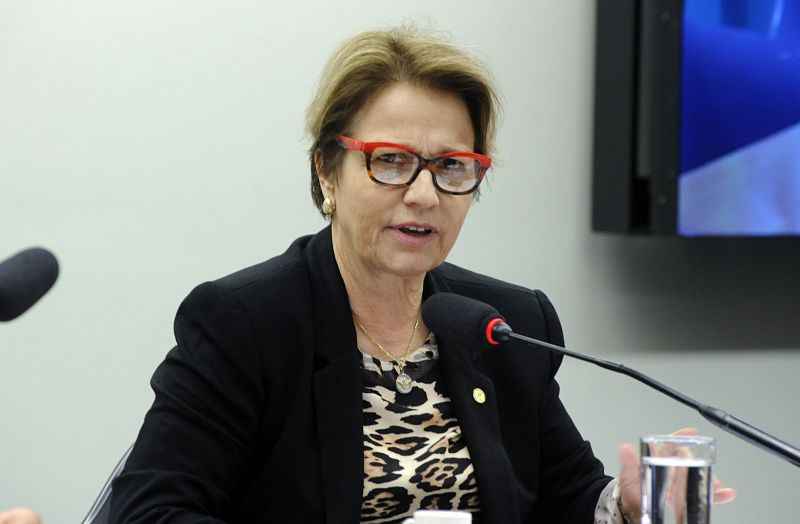 O nome mais cotado nos bastidores para assumir o ministério é o da deputada Tereza Cristina (DEM-MS)