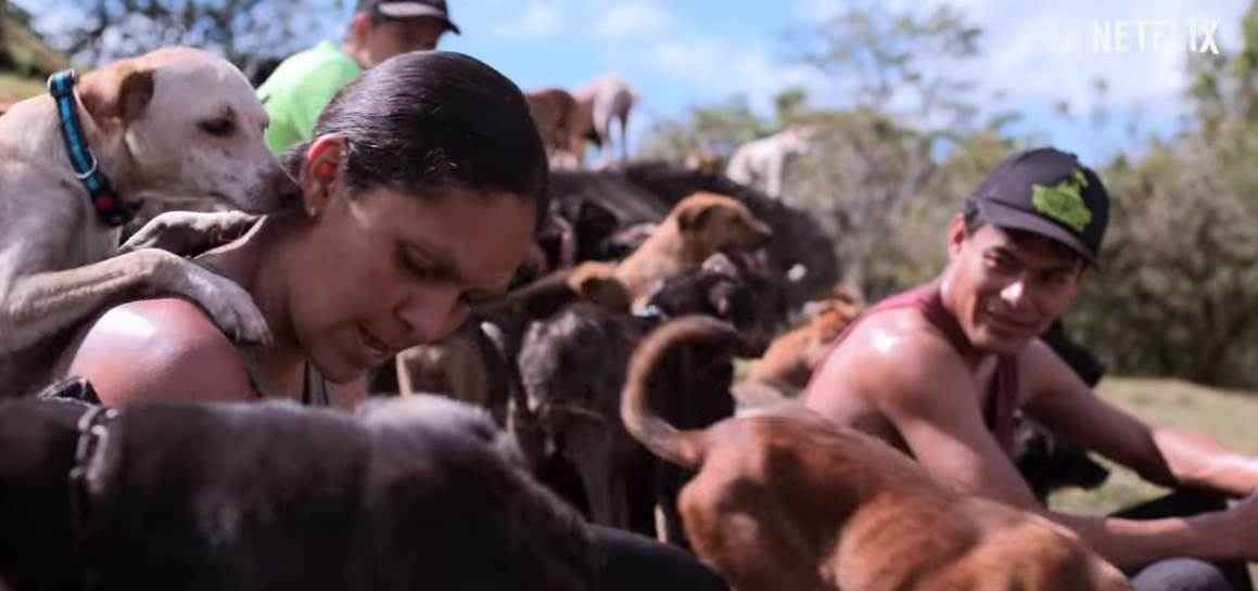 cena do trailer de apenas cães