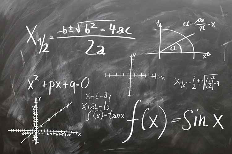 A Universidade se destaca pelo alto nível de qualificação de seu corpo docente: 99,8% são doutores ou mestres e 95,8% dos professores desenvolvem atividades de ensino, pesquisa e extensão em regime de dedicação exclusiva