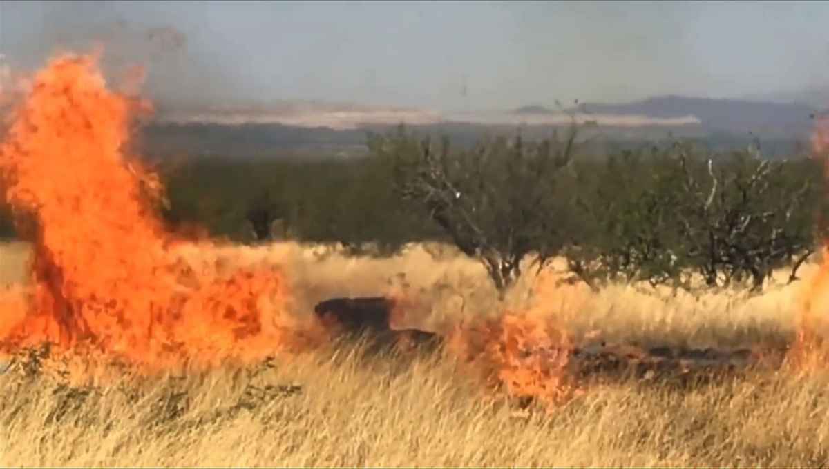 Homem causa incêndio florestal em evento para revelar sexo de bebê nos EUA