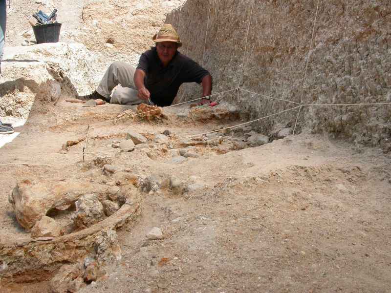 O sítio Ain Boucherit tem indícios de primeiras tecnologias usadas pelos hominídeos para se alimentar: ossos e  pedras bem preservados