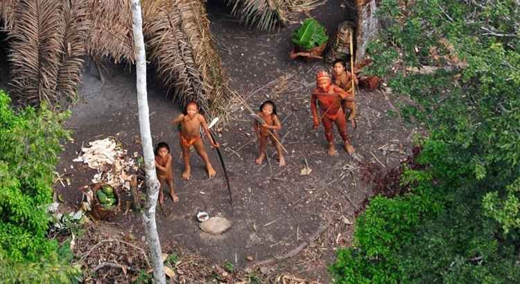 Em uma carta pública, indigenistas alertam sobre a 