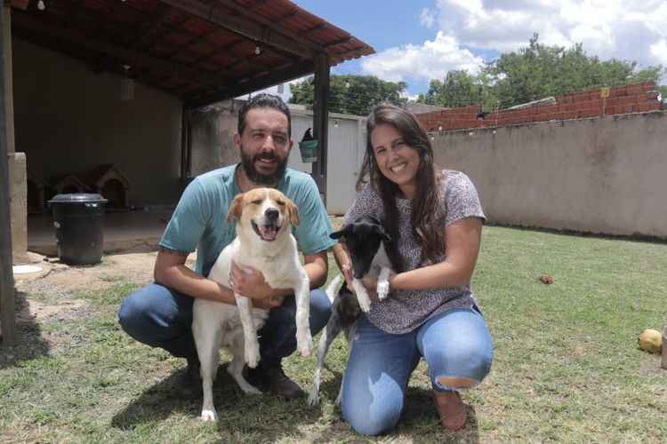 abrigo de cães no DF