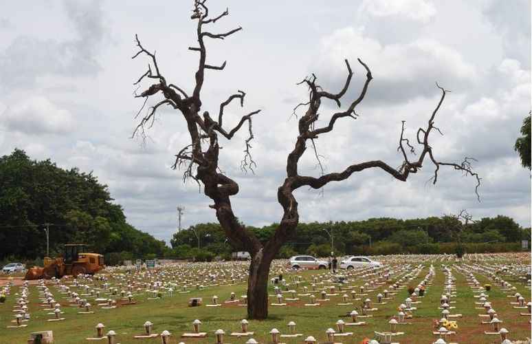 Criança será sepultada às 16h no Cemitério Campo da Esperança, na Asa Sul