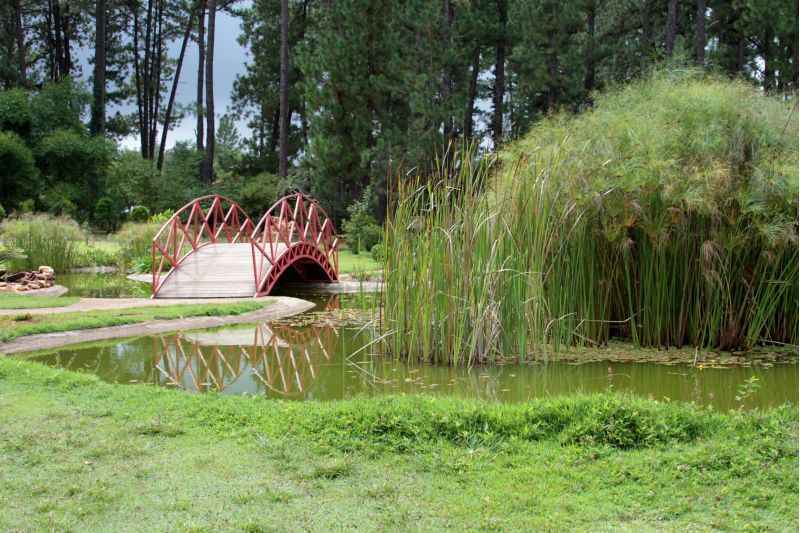 Jardim Botânico é opção para quem quer encerrar a folia sem agitação