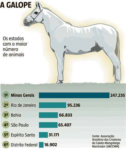 Cavalo: características, raças, importância - Brasil Escola