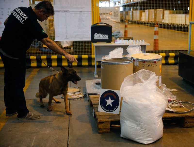 Cães farejam cocaína em 287 pares de sapato e sandálias no aeroporto em SP