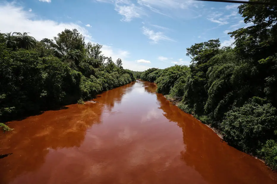 Na semana passada, a Fundação SOS Mata Atlântica fez um alerta de que os sedimentos que atingiram o Rio Paraopeba haviam chegado ao São Francisco