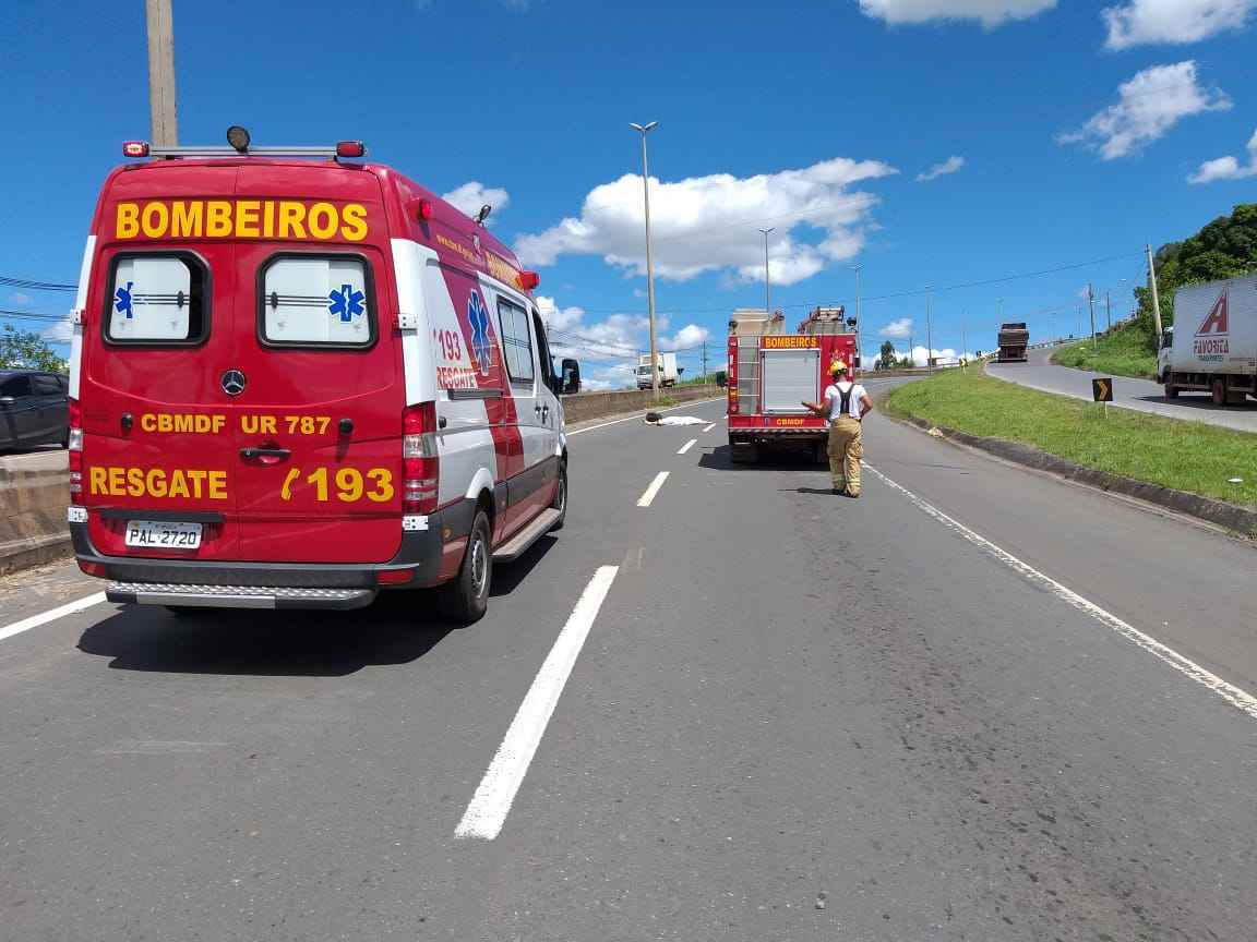 Os bombeiros não souberam informar o que teria causado o acidente