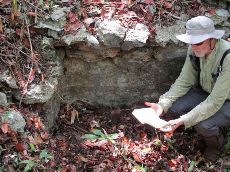 Nicolas Dunning mostra parte do que seria uma fazenda maia: para plantar, os antigos engenheiros precisaram endireitar ou conectar canais