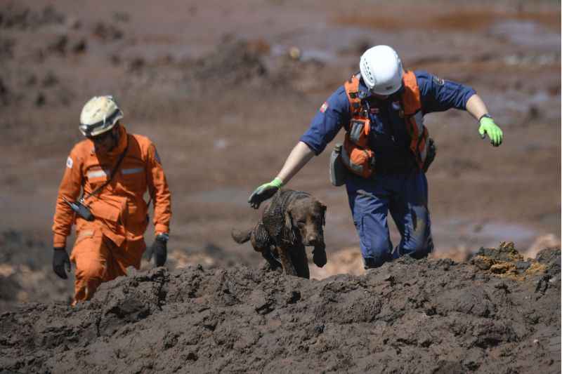 Os trabalhos das equipes do Corpo de Bombeiros continuam na região onde ocorreu o rompimento da barragem da mina Córrego do Feijão, da Vale