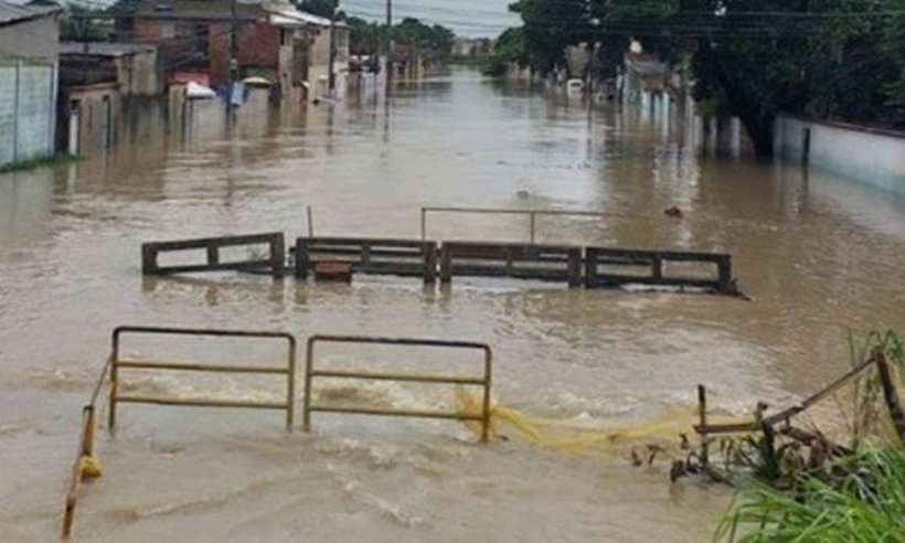 Ruas de Santa Cruz estão alagadas com jacarés soltos