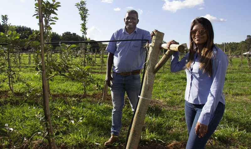 Os produtores Edson Carlos da Silva e Kheity Cardoso iniciaram o plantio experimental de maçã em Cristalina, cidade goiana distante 140km de Brasília: em 2018, foram colhidas 25 toneladas por hectare