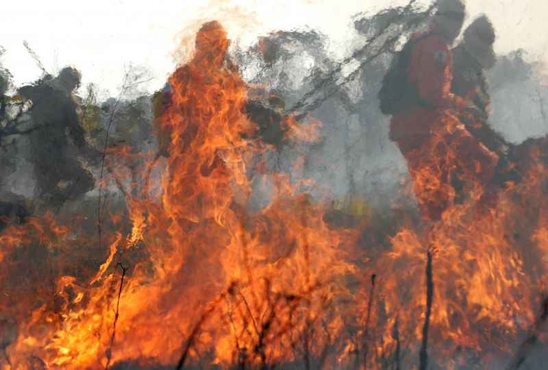 Para prevenir queimadas, Brasília entra em estado de emergência ambiental