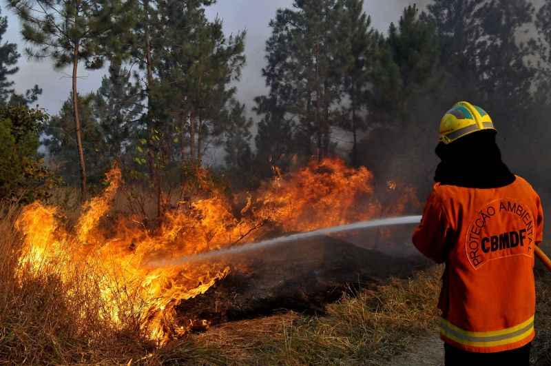 Foto de um incêndio na Floresta Nacional de Brasília, às margens da BR-070