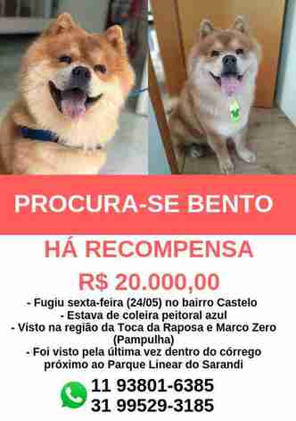 Cartaz fala da recompensa para quem achar o cachorro