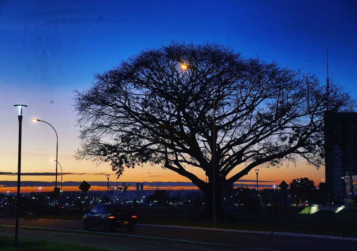 O Distrito Federal entrou no período de seca a partir da segunda quinzena de maio