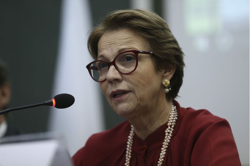 Código Florestal é bom e agora precisa de ajustes, diz ministra