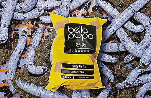 Snacks Bella Pupa já são um sucesso de vendas, mas por enquanto estão disponíveis só na China