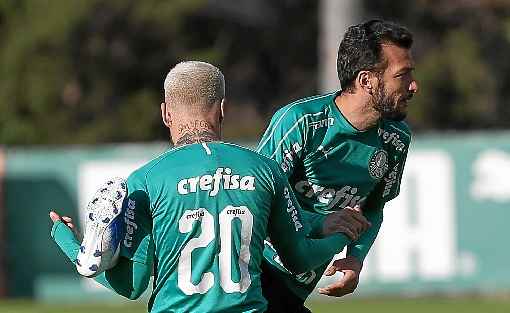 O veterano zagueiro Edu Dracena será escalado como titular neste sábado