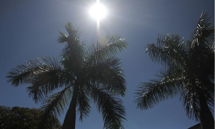 Apesar do vento frio no início da manhã, o sol deve predominar durante o restante do dia