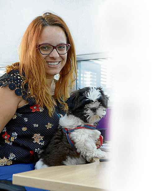 A fotógrafa Sarah leva o cãozinho Marvin para o trabalho