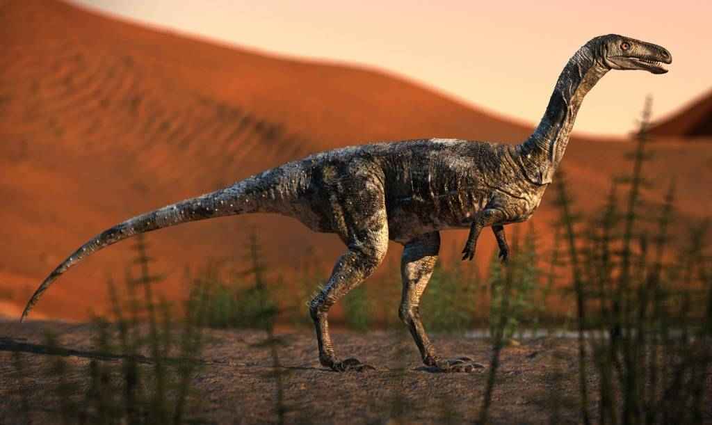 Descoberto no Brasil o mais antigo precursor dos dinossauros da