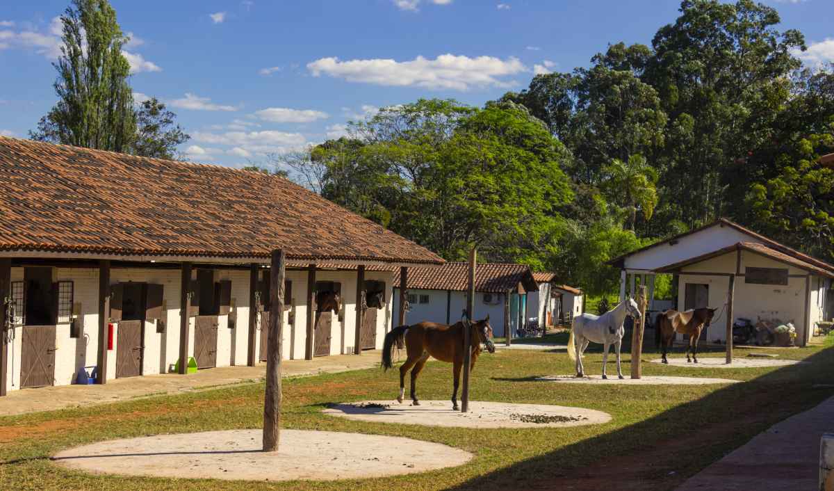 O hipismo é o forte do Brasília Country