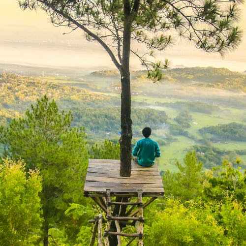 O periódico Frontiers in Psychology  publicou uma pesquisa demonstrando que os benefícios trazidos pelo contato com a natureza já acontecem com 20 minutos de uma vivência em ambiente arborizado