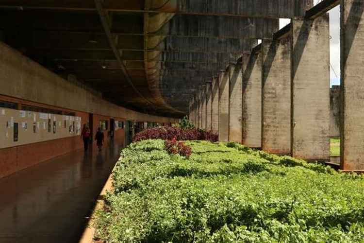 O evento será na Universidade de Brasília (UnB)