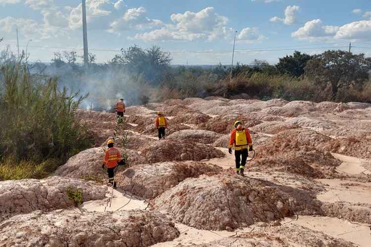 Vinte e nove bombeiros atuaram no combate ao incêndio