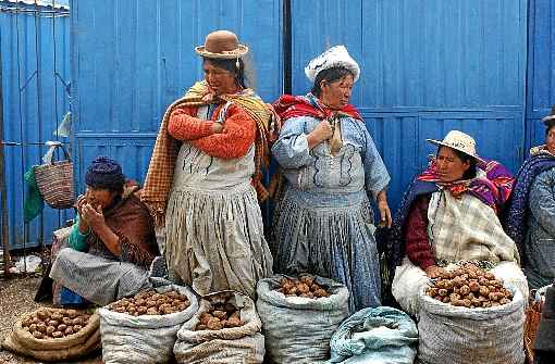 Um quarto da população é obesa e 60% dos moradores têm sobrepeso