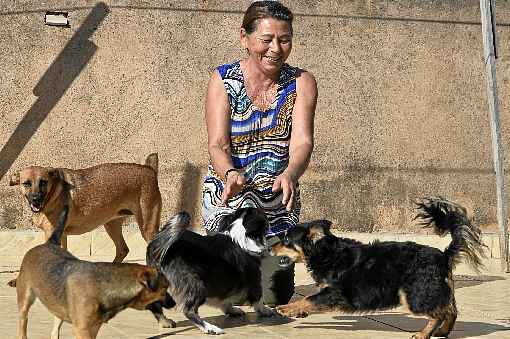 A aposentada Tereza Batista mantém 11 cachorros e 13 gatos adotados em casa, no Riacho Fundo