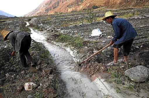 Programa consegue identificar quais micróbios impedem o uso da água para irrigação e consumo