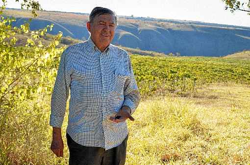 Economista aposentado começou a cultivar café quase que por acaso e, hoje, acumula prêmios, chamando a atenção de apreciadores e distribuidores da bebida estimulante. Em outubro, vai a NY concorrer a concurso internacional