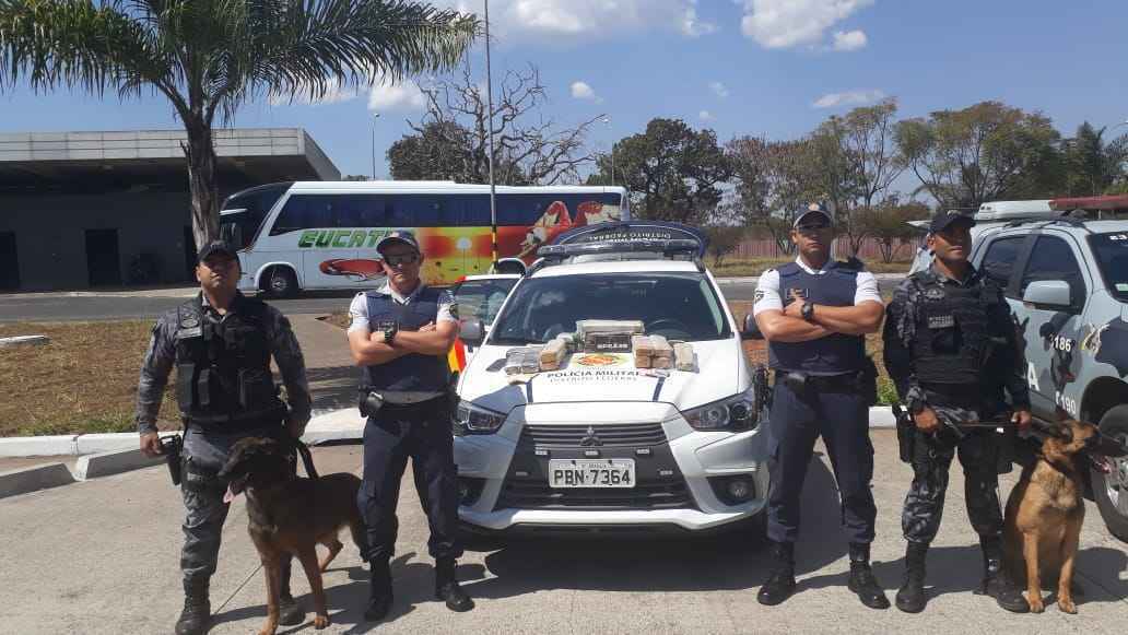 Drogas foram encontradas por Batalhão de Policiamento de Cães