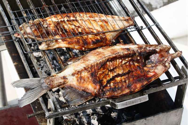 Festival irá distribuir seis toneladas de peixe à população