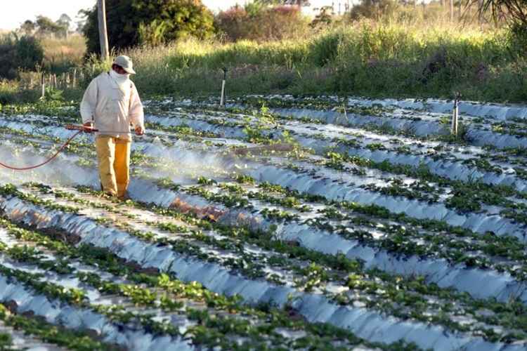 Para o presidente, se os agrotóxicos fossem 