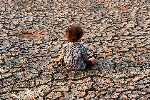 Segundo o documento feito por especialistas de mais de 50 países, ao menos 500 milhões de pessoas vivem em áreas que sofrem desertificação