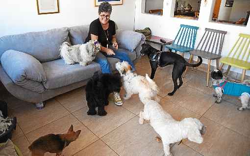 A ativistaThusnelda Frick cuida de nove cachorros, sendo que quatro estão disponíveis para adoção