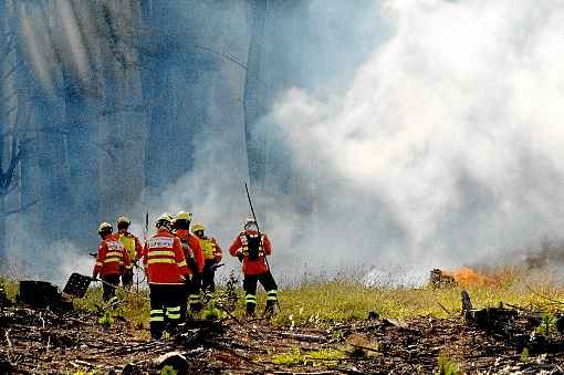 Incêndio florestal no Paranoá: apenas nos primeiros 15 dias de agosto, os bombeiros atenderam 995 chamados para combater queimadas no Distrito Federal