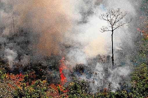 Incêndio florestal em Rondônia; estado integra lista dos que estão em situação de emergência ambiental