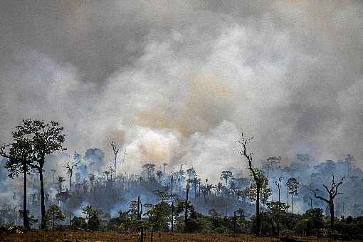 Incêndios na Amazônia: credibilidade do país em xeque