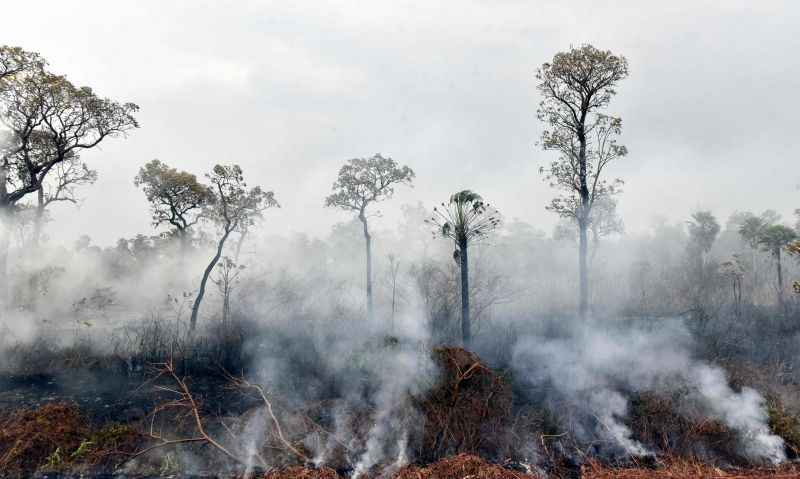 Incêndio na Amazônia