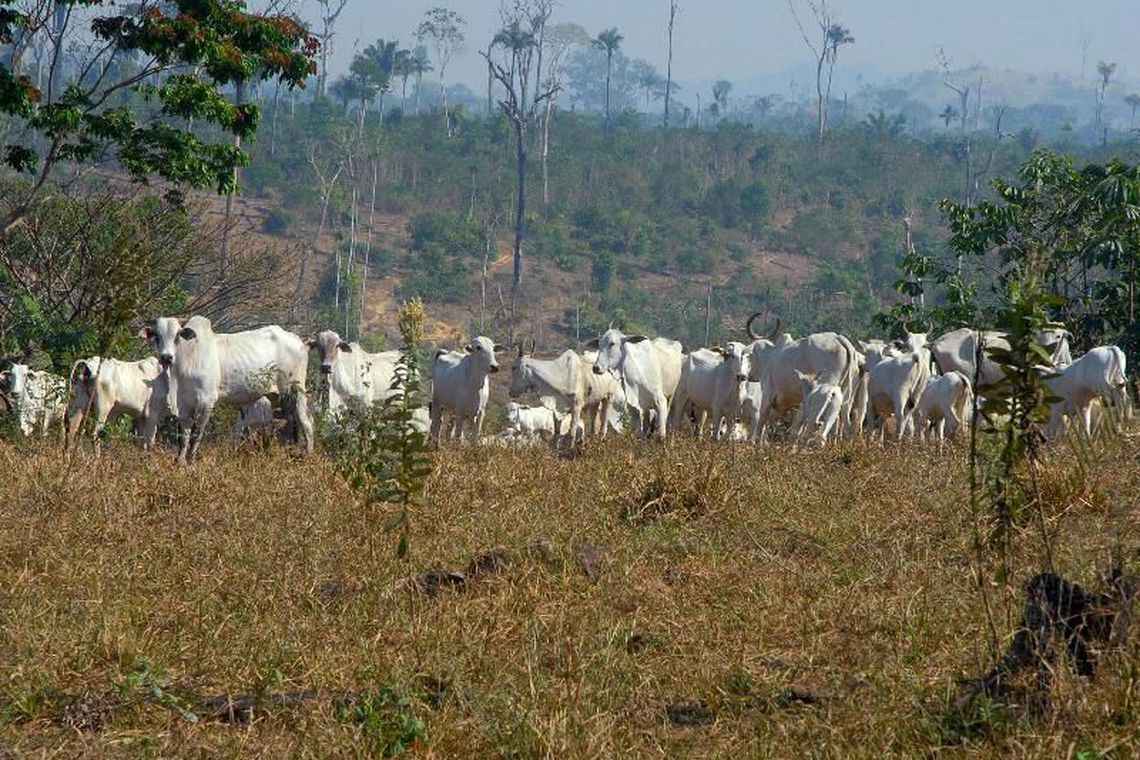 A principal alteração refere-se a dispensa de obrigatoriedade de apresentação do Cadastro Ambiental Rural